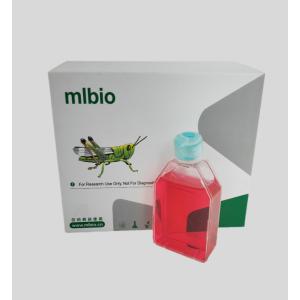 人子宮內膜基質細胞主圖