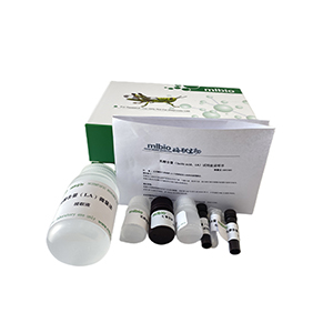 Ca2+—ATP酶試劑盒分光法/24樣主圖