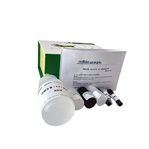 抗脂質過氧化能力/LPO抑制率測定試劑盒微板法/96樣主圖