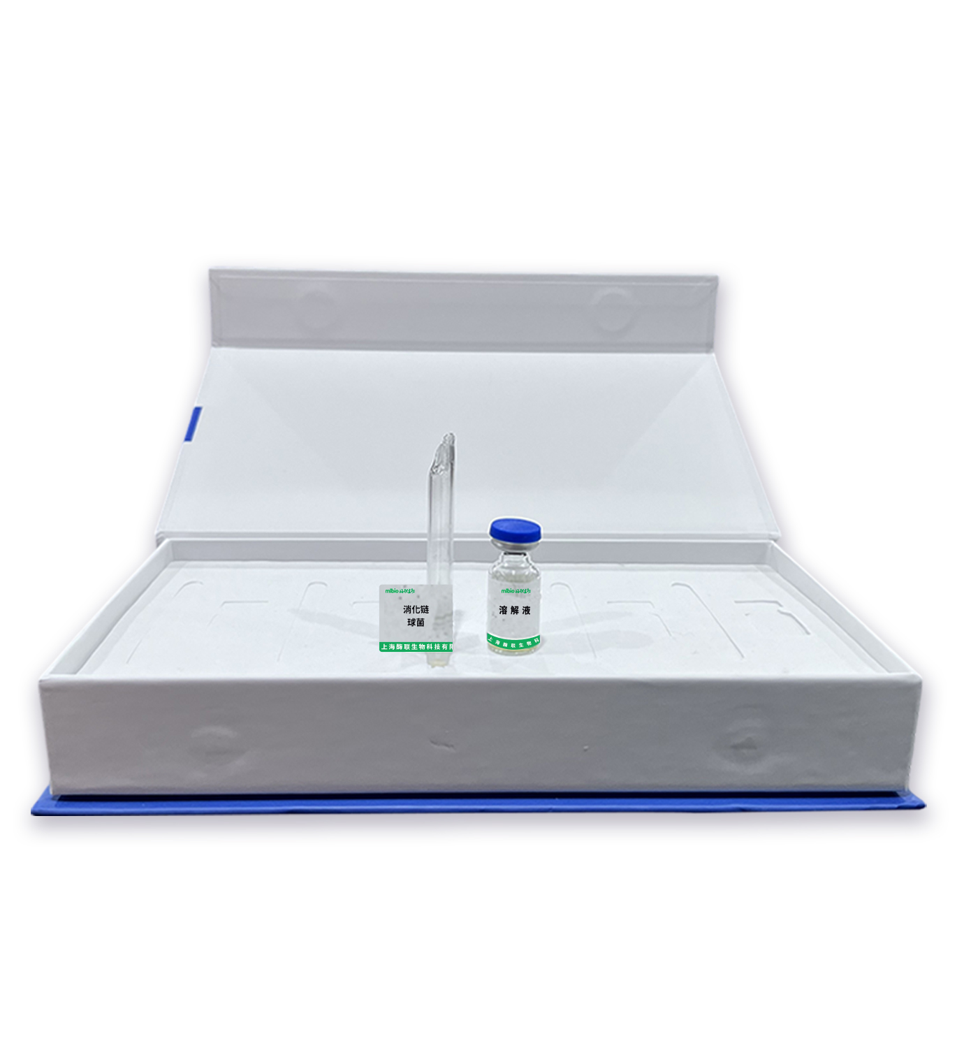 消化鏈球菌主圖