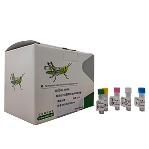 植物乳酸桿菌探針法qPCR試劑盒(不含內(nèi)參)主圖