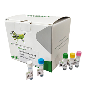 人類嗜T淋巴細胞病毒1型探針法qRT-PCR試劑盒(不含內參)主圖