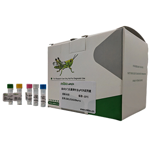 甜菜花葉病毒探針法qRT-PCR試劑盒(不含內參)主圖