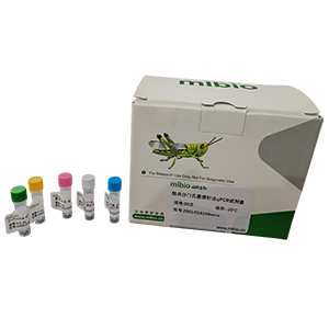 人蒼白桿菌探針法qPCR試劑盒(不含內(nèi)參)主圖