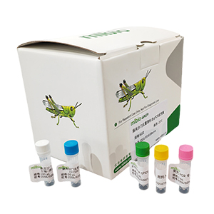 柯薩奇病毒A4型變種探針法qRT-PCR試劑盒(不含內參)主圖