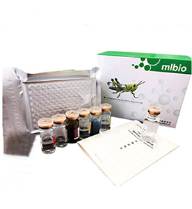 小鼠D-乳酸(D-LA)定量檢測試劑盒主圖