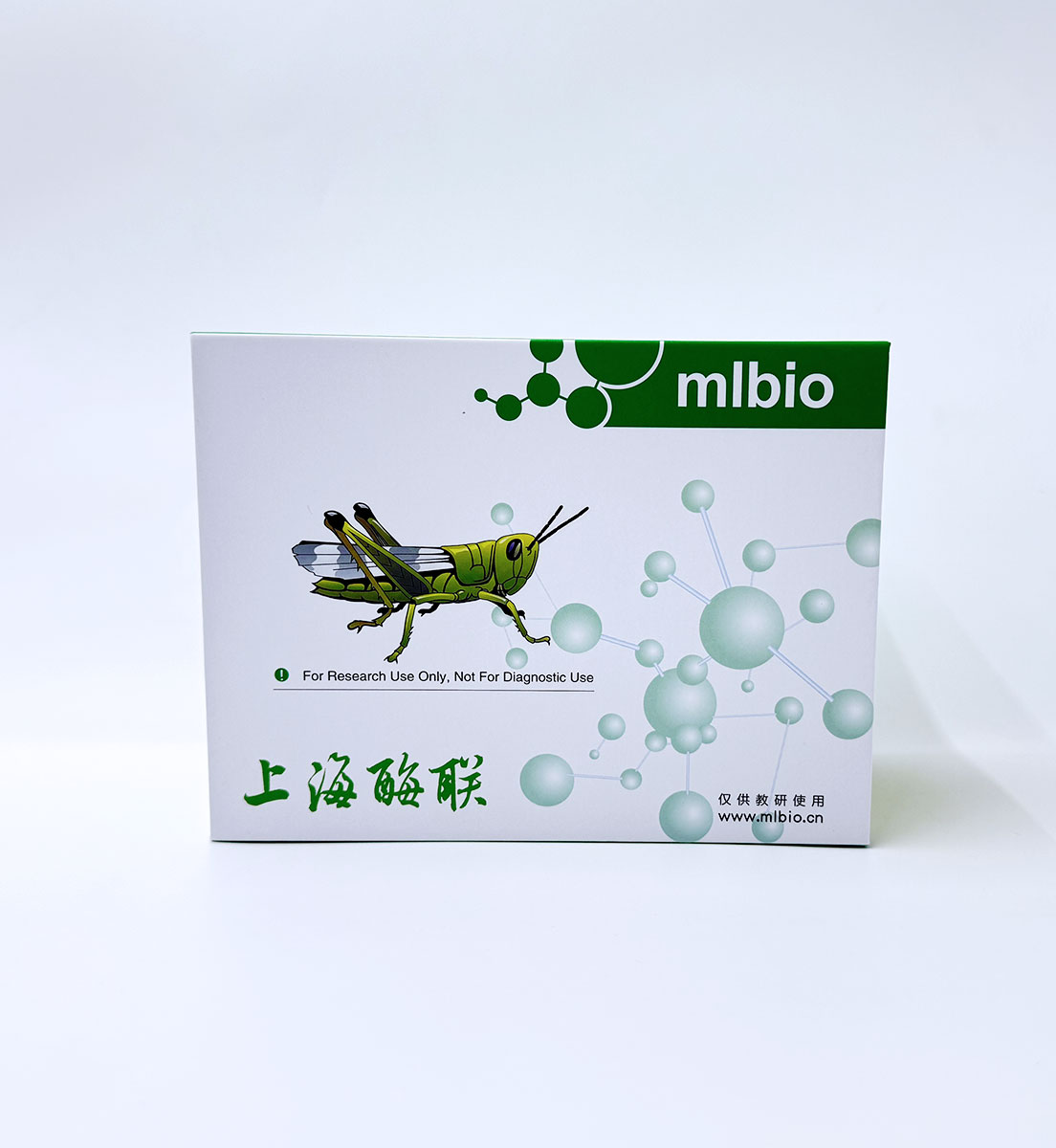 小鼠神經(jīng)酰胺（ceramide）ELISA檢測試劑盒 主圖